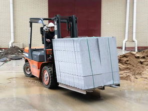 圖 東西湖荷包湖叉車(chē)出租 全方位貨物裝卸、工廠搬遷與設(shè)備拆裝服務(wù)