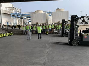 津門(mén)添趣 食品工廠里的叉車(chē)地牛競(jìng)技賽
